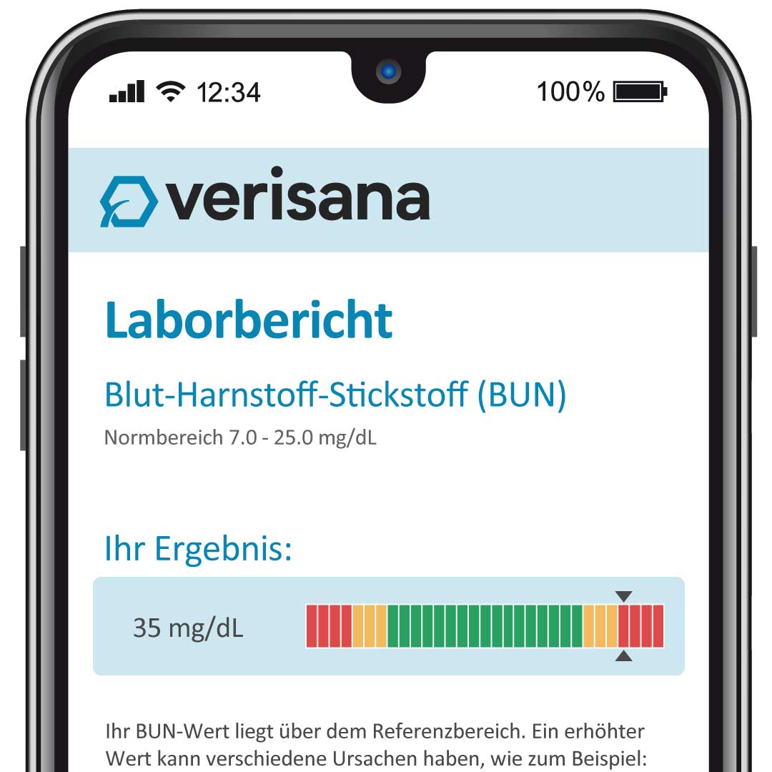 Musterbefund BUN
