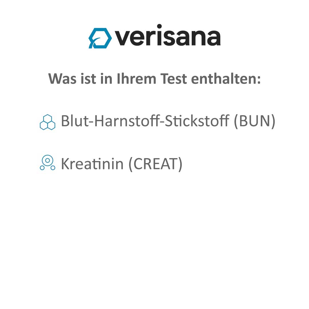 Nieren-Test